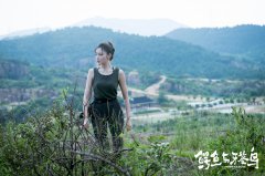 《鱷魚與牙簽鳥》張天愛為戲攀岩 網友:“